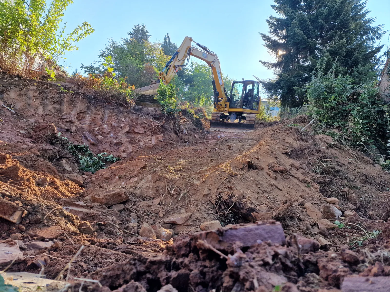Bagger bei der Baufeldfreimachung eines bewachsenen Grundstücks